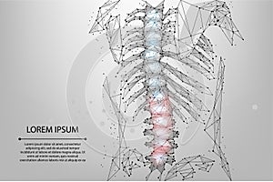 Abstract mesh line and dot physiotherapy human spine. Polygonal render female back hernia