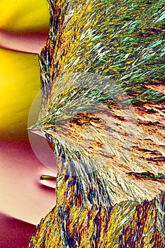 Abstract micrograph of ascorbic acid crystals in brilliant array