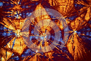 Abstract micrograph of bright red and orange pattern of lysine c