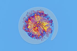 Abstract micrograph of a burst of lysine crystals.