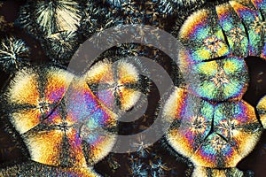 Abstract micrograph of colorful rounded stacks of lysine crystal