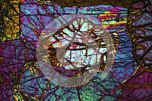 Abstract micrograph of olivine pyroxenite with polarization