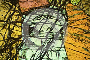 Abstract micrograph of olivine pyroxenite with polarization