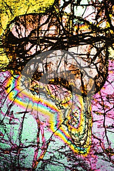 Abstract micrograph of olivine pyroxenite with polarization