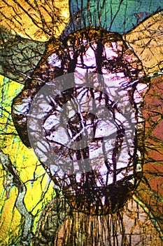 Abstract micrograph of olivine pyroxenite viewed with a polarizing microscope