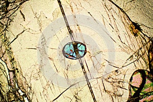 Abstract micrograph of olivine pyroxenite viewed with a polarizing microscope