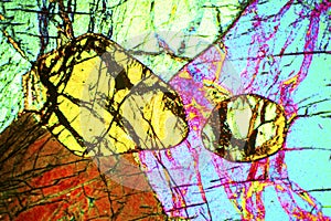 Abstract micrograph of olivine pyroxenite viewed with a polarizing microscope