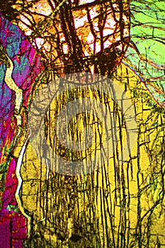 Abstract micrograph of olivine pyroxenite viewed with a polarizing microscope