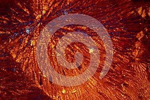 Abstract micrograph of orange and blue lysine crystals.