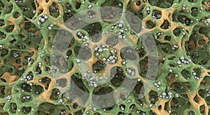 Abstract microscopic texture of a green porous matrix