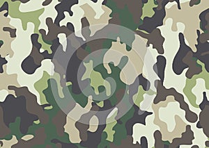 Abstract military or hunting camouflage background.