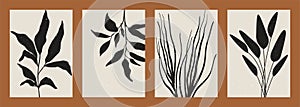 Abstract minimalist floral backgrounds. Boho posters plant silhouettes contemporary mid century aesthetic. Vector set