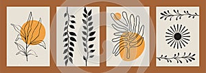 Abstract minimalist plant backgrounds. Mid century aesthetic posters with boho leaf silhouettes organic shapes. Vector