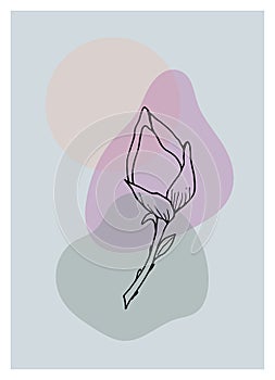 Abstract modern collage of geometric shapes and branches with magnolia flower bud in trendy modern style. 