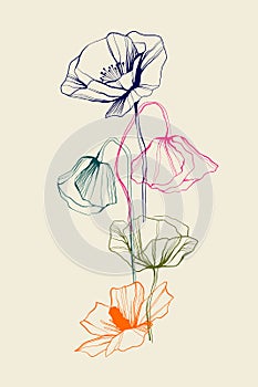 Abstract modern floral illustration. Set of hand drawn peony vector sketch. Hand drawn ink poppies continuous line