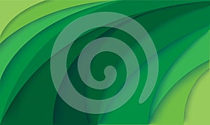 Abstract modern green curve  background vector illustration EPS10