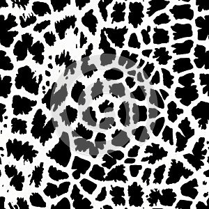 Abstract modern leopard seamless pattern. Animals trendy background. Black and white decorative vector stock illustration for pri photo