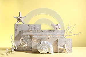 Abstract modern still life. Natural materials. Composition of seashells, sea star, travertine and concrete blocks