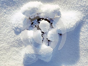 Abstract mole breaking through snow surface in meadow in sunlight on cold winter day