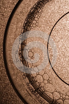 Abstract monochrom background of molecular structure, pattern of water bubbles, circles, chemistry and physics education