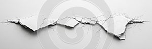 Abstract Monochrome Image of Cracked White Surface