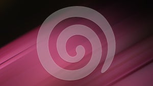 Abstract motion background pink and black color
