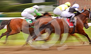 Abstract Motion Blur Horse Race