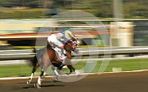 Abstract Motion Blur Horse Race