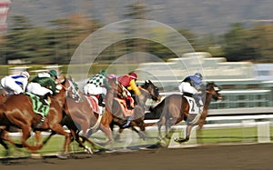 Abstract Motion Blur Horse Race