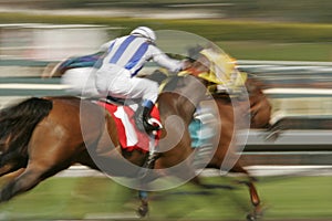 Abstract Motion Blur Horse Race