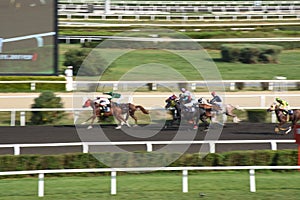 Abstract Motion Blur Horse Race