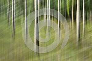 Abstract motion blur, trees trunk & leave, yellow green background