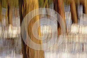 Abstract motion blurred background of tree trunks in the snow