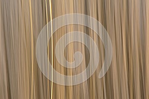 Abstract motion blurred reed background