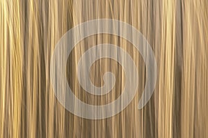 Abstract motion blurred reed background