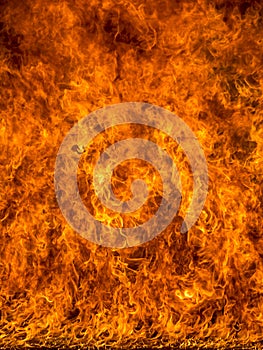 Abstract movement flame fire, flame background