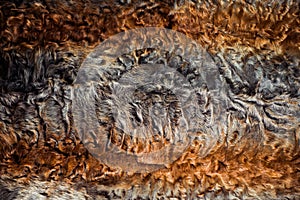 Abstract multicolor fur texture