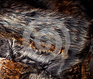 Abstract multicolor fur texture
