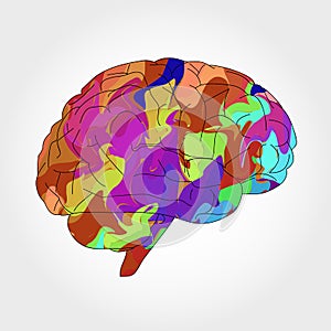 Abstract multicolored brain