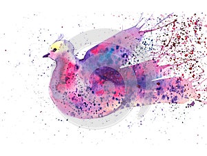 Abstract multicolored pigeon surrounded by colored drops. Watercolor illustration isolated on white background