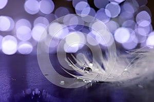 Abstract mysterious background with bokeh, feather and drops of water in shades of purple