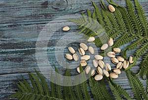 Abstract natural background. Fragments of green leaves of fern on a blue wooden trimmed background and a group of fishek nuts.