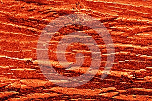 Abstract natural background