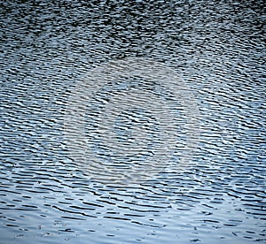 Abstract natural background water ripples from the wind, selective focus