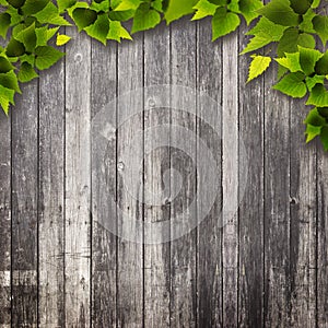 Abstract natural backgrounds.