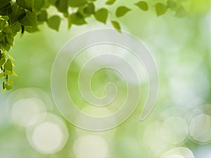 Abstract natural backgrounds