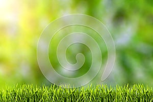 Abstract natural backgrounds on green grass.