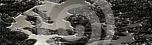 Abstract natural black and white panorama of mosquitos on a pattern of mud with reflecting sunlight on the water at marshland of