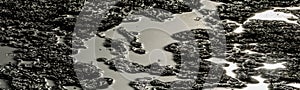 Abstract natural black and white panorama of mosquitos on a pattern of mud with reflecting sunlight on the water at marshland of