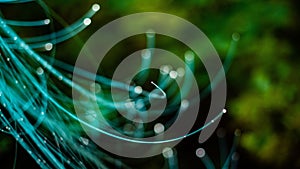 Abstract natural bokeh lights against the green background.